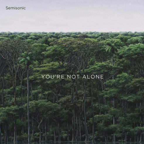 Semisonic – You’re Not Alone